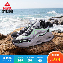 (Wilderness) Pike Retro Casual Shoes Man 2022 Summer New Wind Tunnel Shock Hollowed-out Outdoor Sneakers Female