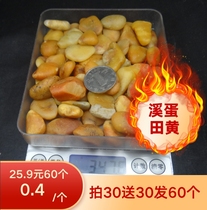 Flower Language Building @ Shoushan Stone Fields Yellow Pit Creek Fields Seed Stream Egg Creek Tube Fields Raw Stone 30 Send 30 30 Fat 60 Bag Express
