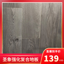 Elephant home bedroom living room laminate flooring BR-3181 wear-resistant waterproof 12mm texture delicate