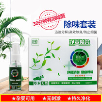 Segue NET TASTE MAGIC BOX CAR INSIDE NEW CAR EXCEPT FORMALDEHYDE SMELL DEITY DEITY KIT AIR FRESHENER PURIFIERS