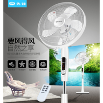 Pioneer floor fan remote control timing household electric fan DD1605 FS40-16ER large wind lifting electric fan