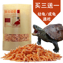 Turtle feed dried shrimp Antarctic phosphorus dried shrimp dried pet tortoise dried shrimp frozen dried shrimp tortoise food dried shrimp tortoise food