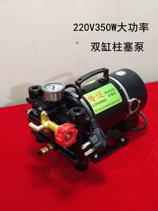农用12V24V48V60V220伏双缸高压柱塞泵电动水泵打药消毒喷雾直
