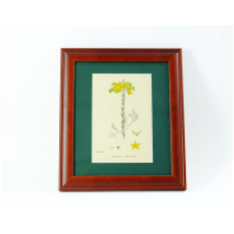 (Recommended by Poly) 19th century wooden board hand-colored museum print Jingtian Sanqi