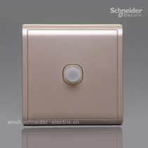 Schneider Pieno Fengshang (Intoxicating Gold)single broadband TV socket(threaded interface)