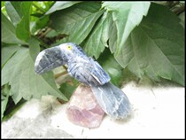 Tibetan Yifang I am not the fifth of LADY GAGA