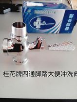 Osmanthus delayed self-closing four-way pedal stool Flushing Valve B17 all copper original Squat punch flush valve