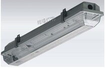 T8 20W three proof lamp led purification lamp double disinfection lamp fluorescent bracket lamp 40W waterproof lamp