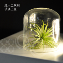 Oshu Aroma Lavender Negative Ions Fragrant lavender Wet Air Purifying Incense water nourishing instrument Glass ceramic power accessories