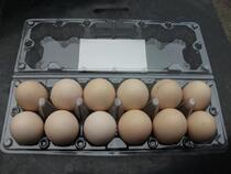 12 medium - sized egg - toilet egg - diesel egg - plastic tray plastic packaging box width 44mm