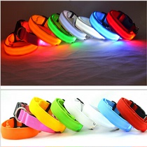 Luminous Pet Items Ring Neck Ring Cat Teddy Gold Wool Pooch Nighttime Neckline Fluorescent Item Ring Pet Supplies