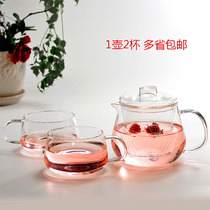 Glass pot Handmade heat-resistant glass tea set Flower tea pot Tea cup Kung Fu Tea set Little Penguin pot 2 cups