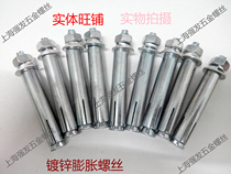 Metal expansion bolt fastener ordinary extra-long extended galvanized outer iron expansion screw M24 * 200-300