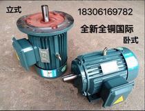 Copper Wire Three-phase Asynchronous Motor Factory Sends Shanghai Lichao Y2 YE2YX330-132KW-2850 Class 2