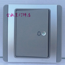 Schneider wins E3000 gray silver 4a horizontal type large Press board doorbell switch door clock switch