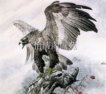 Meticulous painting White drawing Eagle drawing landscape painting flower and bird painting line drawing physical manuscript 024