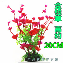 Simulation of water grass fish tank landscape grass plastic fake grass aquarium decorations in the landscape money leaf grass full 50 yuan