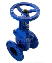 Z41X-16 soft seal gate valve open rod elastic seat seal gate valve DN