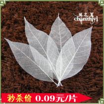 Natural leaf specimen Magnolia vein leaf bookmark diy material bag handmade homemade leaf veined flower props