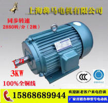 Three-phase asynchronous motor Y100L-2 pole 3KW380V YE2Y2 Motor high speed AC motor