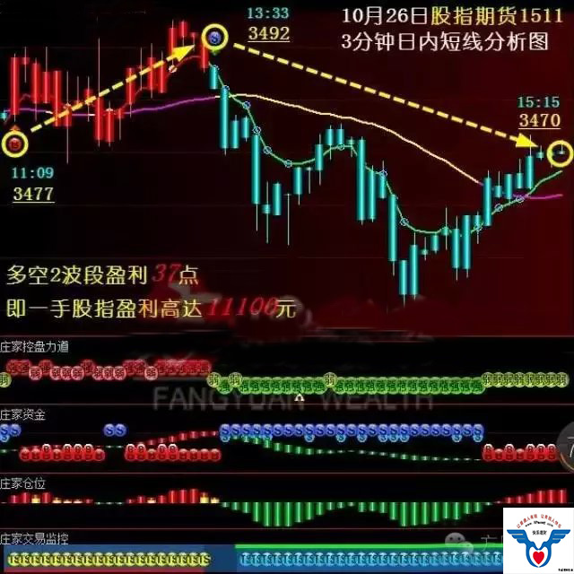 坠楼迷案豆瓣