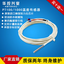 WZP-PT100 temperature sensor platinum thermal resistance galvanic PT1000 probe type temperature detection high temperature waterproof