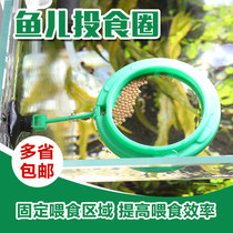  Sensen Fish food Feeding ring Fish feeding ring Aquarium Floating feed Floating feeding ring Fish feeding ring with suction cup