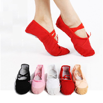 Ladies and girls two-soled dance shoes Yoga practice Latin dance performance Cat claw shoes Red Black dance practice shoes