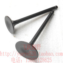 Zongshen 200GY engine valve Zongshen 200GY valve desert flying fox original factory valve 200GY valve