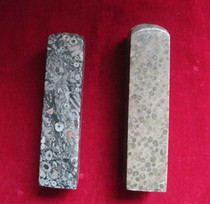 Kistle fossil Zhangjiajie fossil stamp sea lily fossil stamp