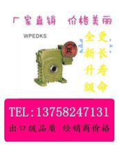WPEDKS iron particle vertical two-stage with motor flange input and outlet hole type Worm gear worm reducer speed reducer