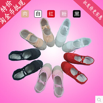 Childrens adult dance shoes Practice shoes Mens and womens cat claw shoes Dance shoes Soft-soled ballet shoes Yoga shoes