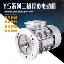 ys8024 0 75KW-4 three phase asynchronous motor 1400 turn 19 axis aluminum shell motor 380V copper wire 750W