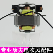 Hair salon high-power hair dryer professional motor motor accessories Kang Fu hair dryer AC movement 17# motor