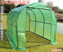 Epidemic prevention and disinfection shed greenhouse greenhouse greenhouse greenhouse balcony vegetable garden planting equipment insulation cover