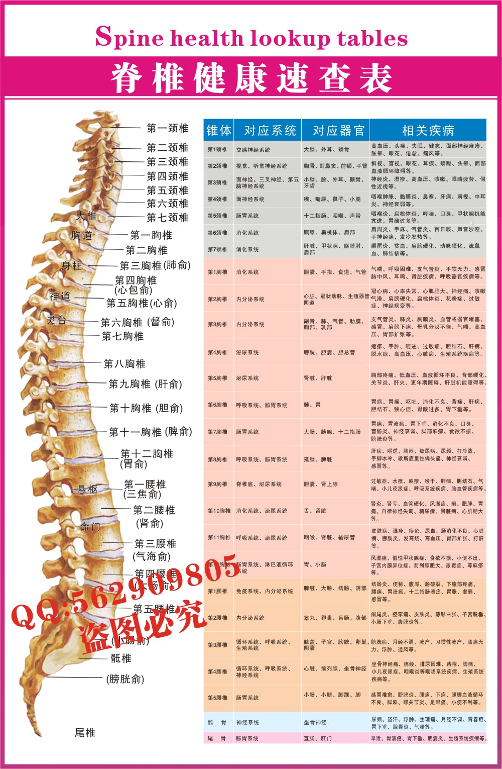 大明王侯 爱尚