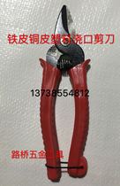 Jin Xun scissors wire Scissors Spring scissors branch shears to pick fruit scissors
