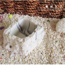 (square basin-snail dwelling in the world) hermit crab special drinking device feeding bowl food dish resin moisture-proof and durable