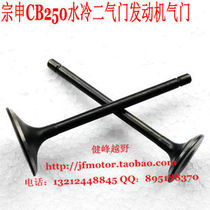 Zongshen CB250 water-cooled two-valve engine valve CQR M7 water-cooled engine valve intake and exhaust valve
