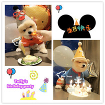 Bear toffy Pet Pet hat dog cat birthday party hat headgear selling cute cute headgear