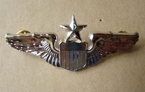 Metal Badge American Aerial Intermediate Pilot Chapter Chest Badge Silver Brightly