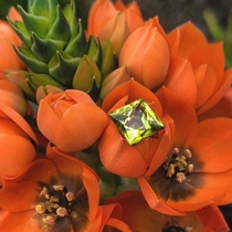 Sri Lanka high-end custom color treasure naked stone tourmaline Ruby Sapphire with certificate live special photo link