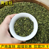 Anxi country of origin direct alpine Oolong tea 2021 new tea fragrant tea gold Gui Huangdan 250g bag