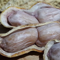 New bulk 500g Longyan original boiled white salt salted dry peanuts five garlic crispy peanut specialty with Shell
