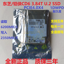 Hylex PE8010 3 84T PE6031 3 2T PE6011 7 68T Solid State SSD CD6 3 84T