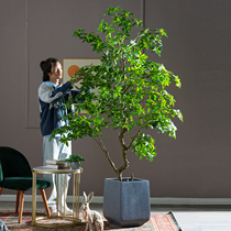 High-end horse drunk wood simulation plant decoration indoor living room large-scale bionic green plant fake tree potted landscape decoration