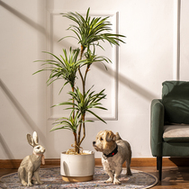 Net red simulation colorful ponytail iron dragon blood tree fake tree potted living room plastic flowers floor-to-ceiling plant decoration ornaments