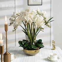 High-end light luxury feel Phalaenopsis simulation fake flower art flower Flower living room set decoration potted bonsai ornaments