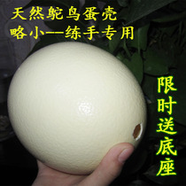 Natural ostrich eggshell ostrich eggshell carving crafts base painted artwork birthday gift furnishings
