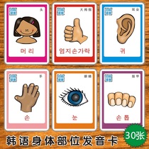 Korean pronunciation word card Korean body parts picture flash card early education learning Enlightenment kindergarten teaching aids